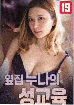 字幕样本详情配图